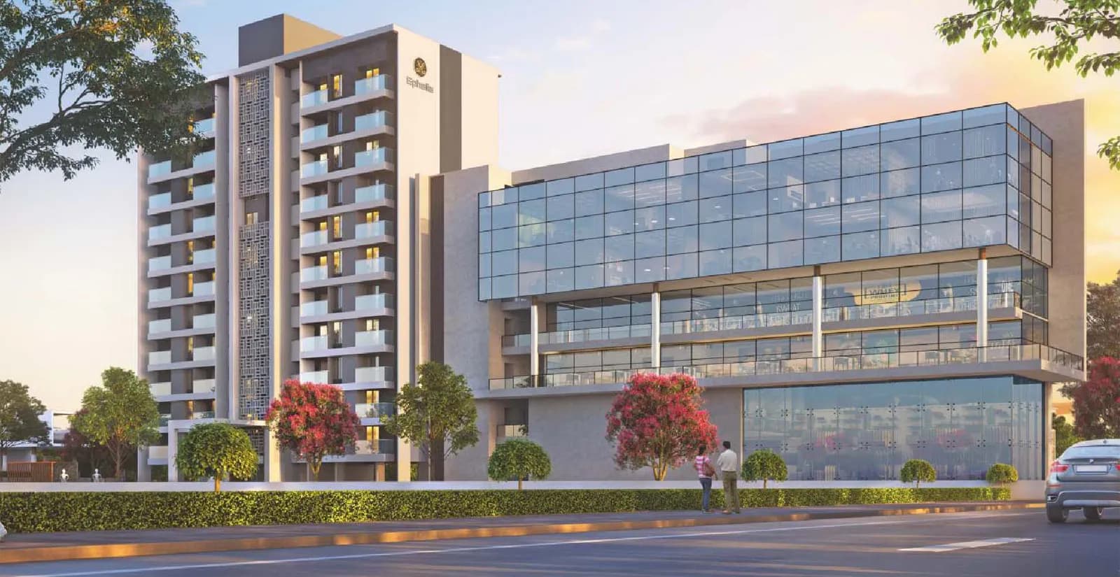 Ephelia Phase 1