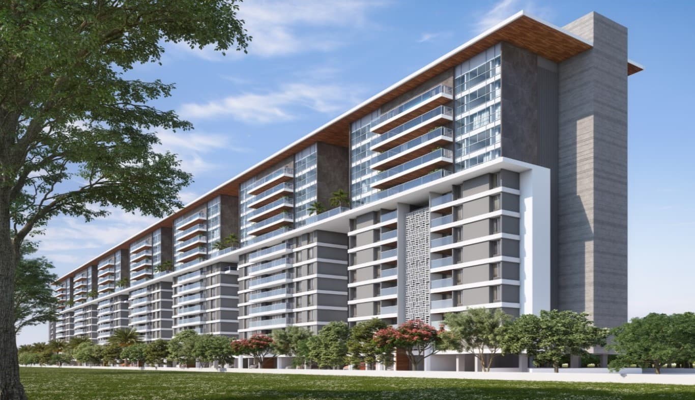 Ephelia Phase 2